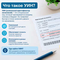 Что такое УИН